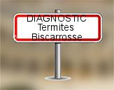 Diagnostic Termite ASE  à Biscarrosse